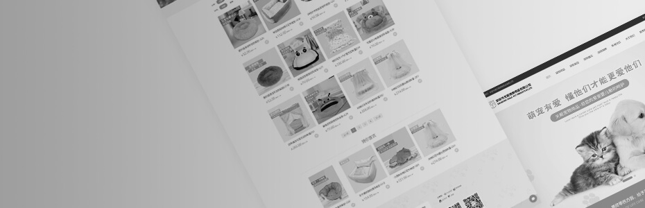 電商平臺(tái)設(shè)計(jì)開發(fā)