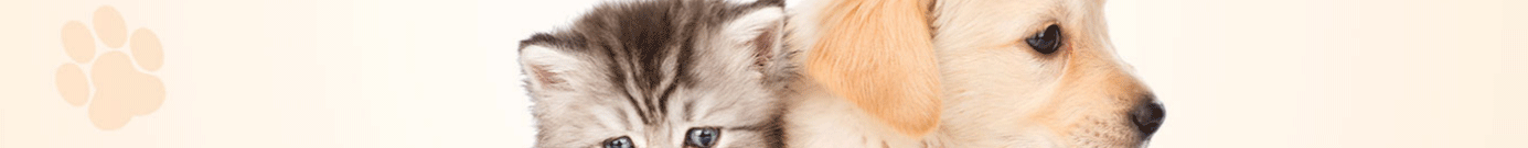 深圳網(wǎng)站設(shè)計公司_高端定制設(shè)計網(wǎng)站_營銷型網(wǎng)站設(shè)計制作_深圳網(wǎng)站建設(shè)