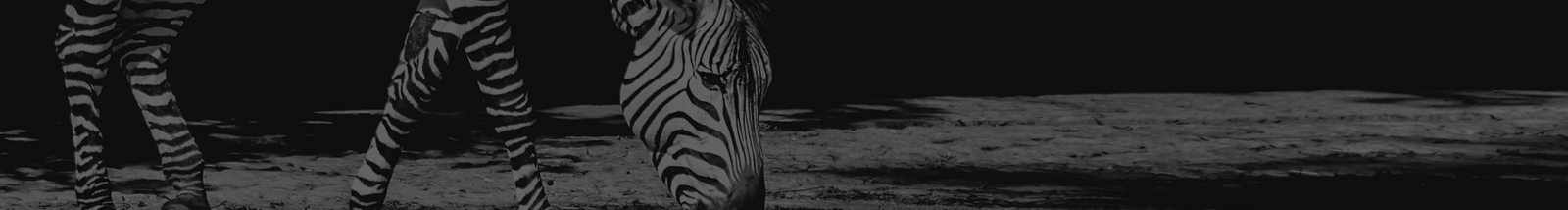 深圳網(wǎng)站設(shè)計(jì)公司_高端定制設(shè)計(jì)網(wǎng)站_營銷型網(wǎng)站設(shè)計(jì)制作_深圳網(wǎng)站建設(shè) 深圳網(wǎng)站設(shè)計(jì)公司_高端定制設(shè)計(jì)網(wǎng)站_營銷型網(wǎng)站設(shè)計(jì)制作_深圳網(wǎng)站建設(shè)