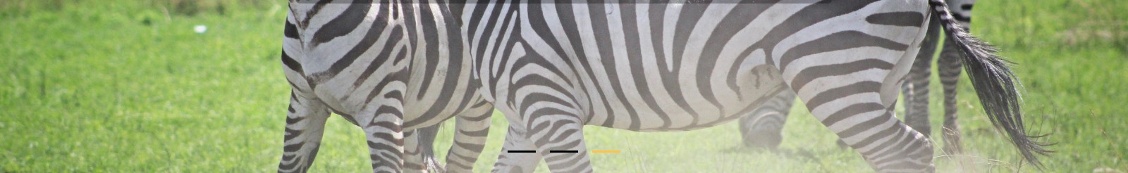 深圳網(wǎng)站設(shè)計(jì)公司_高端定制設(shè)計(jì)網(wǎng)站_營銷型網(wǎng)站設(shè)計(jì)制作_深圳網(wǎng)站建設(shè) 深圳網(wǎng)站設(shè)計(jì)公司_高端定制設(shè)計(jì)網(wǎng)站_營銷型網(wǎng)站設(shè)計(jì)制作_深圳網(wǎng)站建設(shè)