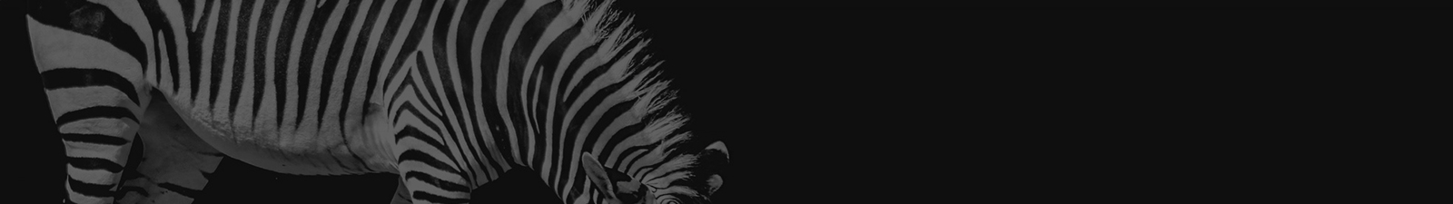 深圳網(wǎng)站設(shè)計(jì)公司_高端定制設(shè)計(jì)網(wǎng)站_營銷型網(wǎng)站設(shè)計(jì)制作_深圳網(wǎng)站建設(shè) 深圳網(wǎng)站設(shè)計(jì)公司_高端定制設(shè)計(jì)網(wǎng)站_營銷型網(wǎng)站設(shè)計(jì)制作_深圳網(wǎng)站建設(shè)