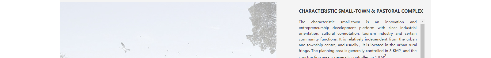 深圳網站設計公司_高端定制設計網站_營銷型網站設計制作_深圳網站建設 深圳網站設計公司_高端定制設計網站_營銷型網站設計制作_深圳網站建設