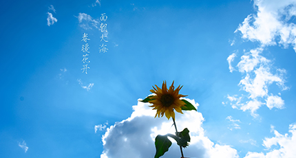 洛壹，都喜歡這樣的人~