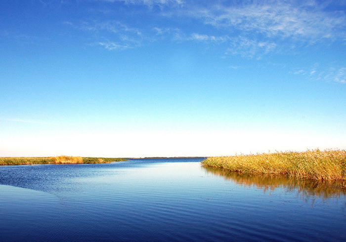 深圳市沃賽特科技有限公司