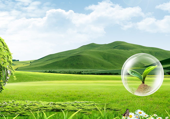 深圳市金豹防水材料有限公司