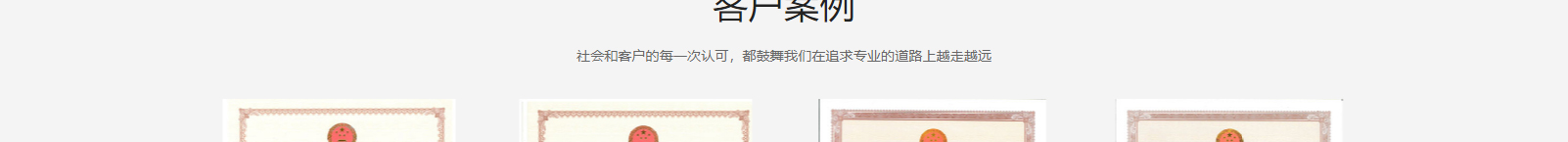 網(wǎng)站建設(shè)設(shè)計(jì)案例_營(yíng)銷型網(wǎng)站制作案例 網(wǎng)站建設(shè)設(shè)計(jì)案例_營(yíng)銷型網(wǎng)站制作案例