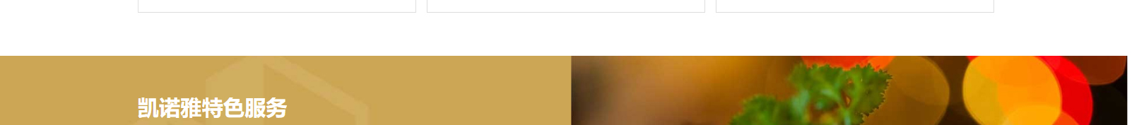 網(wǎng)站建設設計案例_營銷型網(wǎng)站制作案例 網(wǎng)站建設設計案例_營銷型網(wǎng)站制作案例