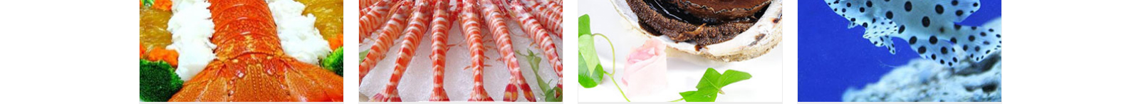 網(wǎng)站建設設計案例_營銷型網(wǎng)站制作案例 網(wǎng)站建設設計案例_營銷型網(wǎng)站制作案例