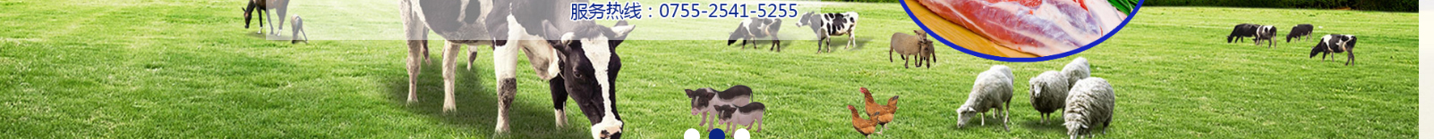 網(wǎng)站建設設計案例_營銷型網(wǎng)站制作案例 網(wǎng)站建設設計案例_營銷型網(wǎng)站制作案例