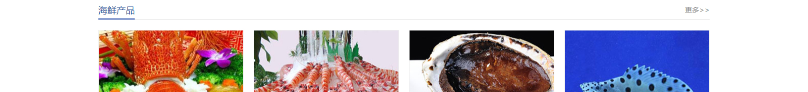 網(wǎng)站建設設計案例_營銷型網(wǎng)站制作案例 網(wǎng)站建設設計案例_營銷型網(wǎng)站制作案例