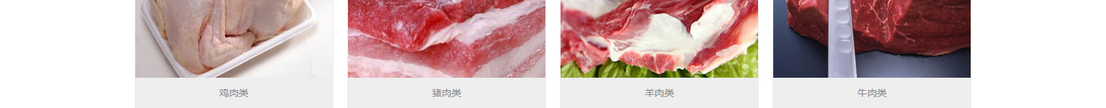 網(wǎng)站建設設計案例_營銷型網(wǎng)站制作案例 網(wǎng)站建設設計案例_營銷型網(wǎng)站制作案例