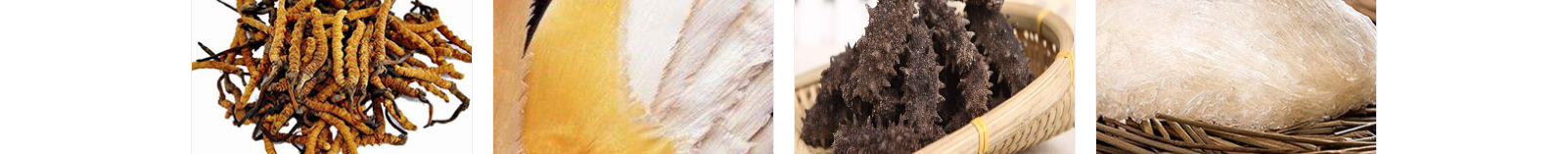 網(wǎng)站建設設計案例_營銷型網(wǎng)站制作案例 網(wǎng)站建設設計案例_營銷型網(wǎng)站制作案例