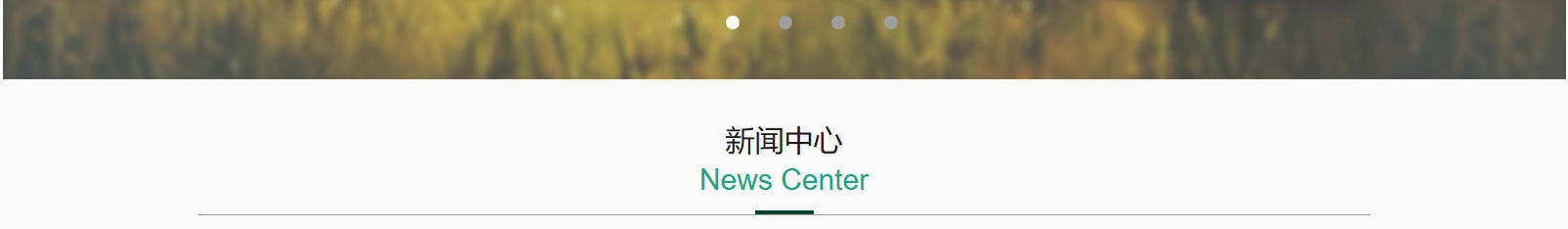 網(wǎng)站建設(shè)設(shè)計(jì)案例_營銷型網(wǎng)站制作案例