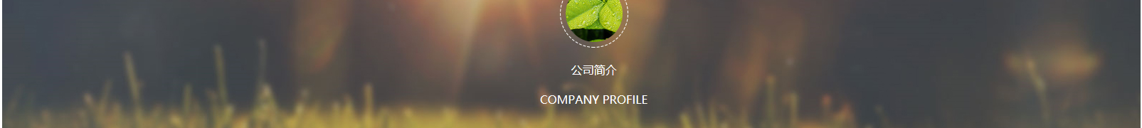 網(wǎng)站建設(shè)設(shè)計(jì)案例_營銷型網(wǎng)站制作案例