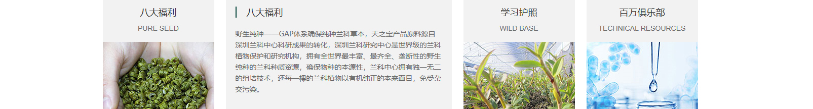 網(wǎng)站建設(shè)設(shè)計(jì)案例_營銷型網(wǎng)站制作案例