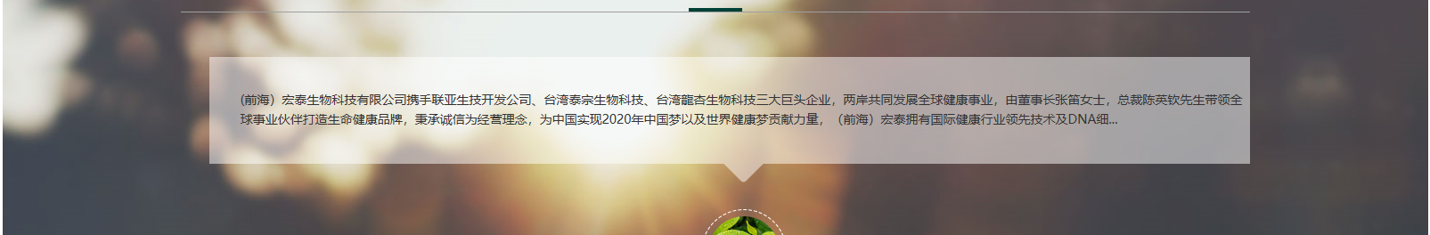 網(wǎng)站建設(shè)設(shè)計(jì)案例_營銷型網(wǎng)站制作案例