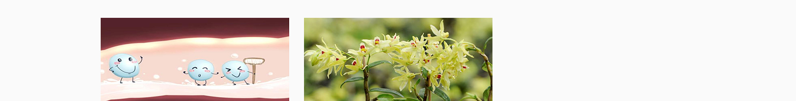 網(wǎng)站建設(shè)設(shè)計(jì)案例_營銷型網(wǎng)站制作案例