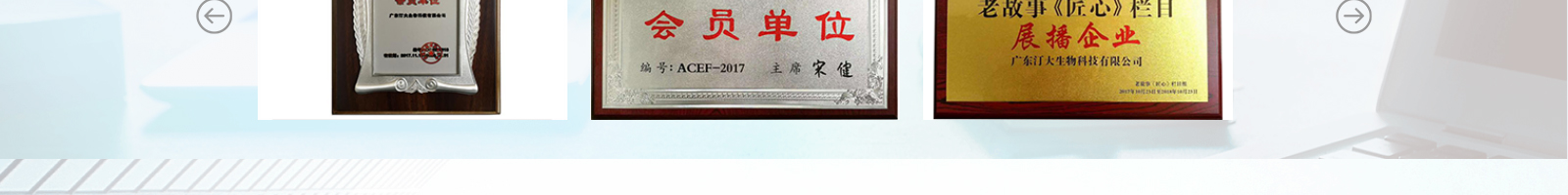 網(wǎng)站建設(shè)設(shè)計案例_營銷型網(wǎng)站制作案例 網(wǎng)站建設(shè)設(shè)計案例_營銷型網(wǎng)站制作案例