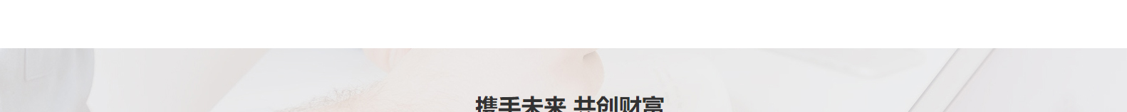 網(wǎng)站建設(shè)設(shè)計案例_營銷型網(wǎng)站制作案例 網(wǎng)站建設(shè)設(shè)計案例_營銷型網(wǎng)站制作案例