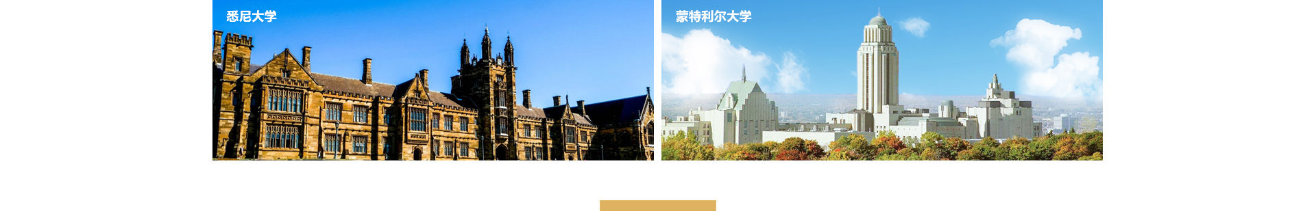 中鑫海外集團(tuán)_集團(tuán)網(wǎng)站建設(shè)案例_洛壹網(wǎng)絡(luò)建站案例 中鑫海外集團(tuán)_集團(tuán)網(wǎng)站建設(shè)案例_洛壹網(wǎng)絡(luò)建站案例