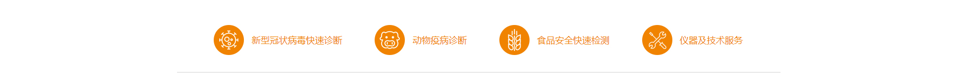 企業(yè)網(wǎng)站建設案例 新型冠狀病毒快速診斷
