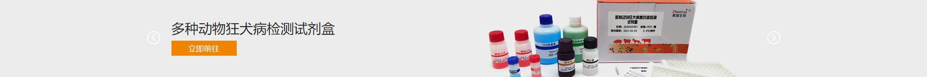 企業(yè)網(wǎng)站建設案例 新型冠狀病毒快速診斷