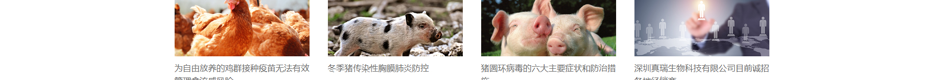 企業(yè)網(wǎng)站建設案例 新型冠狀病毒快速診斷