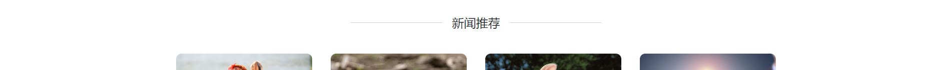 企業(yè)網(wǎng)站建設案例 新型冠狀病毒快速診斷