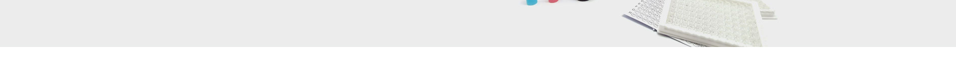 企業(yè)網(wǎng)站建設案例 新型冠狀病毒快速診斷