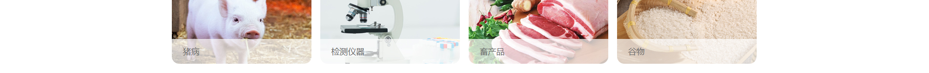 企業(yè)網(wǎng)站建設案例 新型冠狀病毒快速診斷