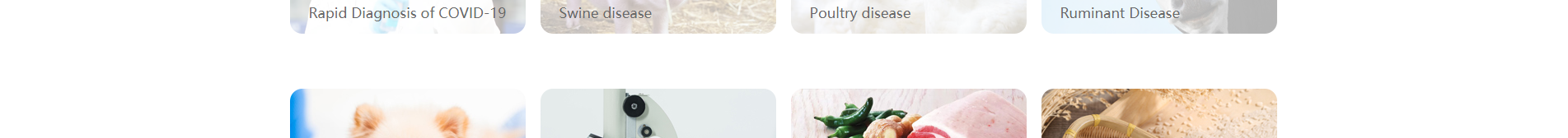 深圳網(wǎng)站設(shè)計(jì)公司_響應(yīng)式網(wǎng)站_外貿(mào)網(wǎng)站_深圳網(wǎng)站建設(shè) 深圳網(wǎng)站設(shè)計(jì)公司_響應(yīng)式網(wǎng)站_外貿(mào)網(wǎng)站_深圳網(wǎng)站建設(shè)