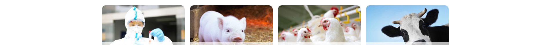 深圳網(wǎng)站設(shè)計(jì)公司_響應(yīng)式網(wǎng)站_外貿(mào)網(wǎng)站_深圳網(wǎng)站建設(shè) 深圳網(wǎng)站設(shè)計(jì)公司_響應(yīng)式網(wǎng)站_外貿(mào)網(wǎng)站_深圳網(wǎng)站建設(shè)