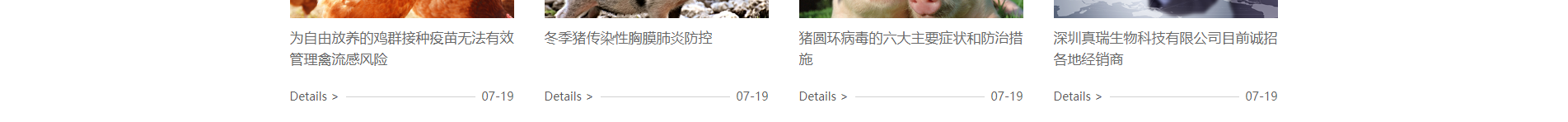 深圳網(wǎng)站設(shè)計(jì)公司_響應(yīng)式網(wǎng)站_外貿(mào)網(wǎng)站_深圳網(wǎng)站建設(shè) 深圳網(wǎng)站設(shè)計(jì)公司_響應(yīng)式網(wǎng)站_外貿(mào)網(wǎng)站_深圳網(wǎng)站建設(shè)