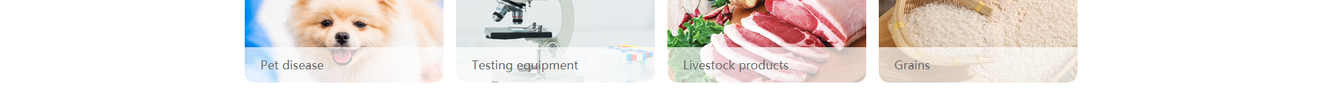 深圳網(wǎng)站設(shè)計(jì)公司_響應(yīng)式網(wǎng)站_外貿(mào)網(wǎng)站_深圳網(wǎng)站建設(shè) 深圳網(wǎng)站設(shè)計(jì)公司_響應(yīng)式網(wǎng)站_外貿(mào)網(wǎng)站_深圳網(wǎng)站建設(shè)