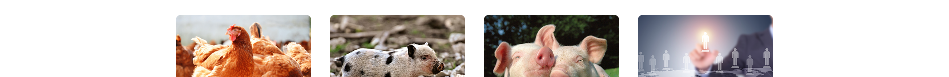 深圳網(wǎng)站設(shè)計(jì)公司_響應(yīng)式網(wǎng)站_外貿(mào)網(wǎng)站_深圳網(wǎng)站建設(shè) 深圳網(wǎng)站設(shè)計(jì)公司_響應(yīng)式網(wǎng)站_外貿(mào)網(wǎng)站_深圳網(wǎng)站建設(shè)