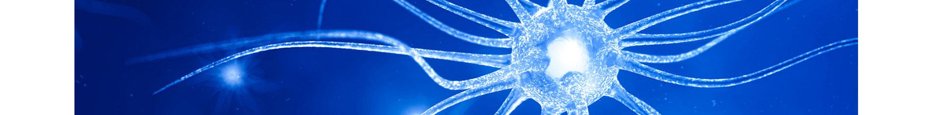 智能芯片_響應(yīng)式網(wǎng)站_深圳網(wǎng)站制作_公司網(wǎng)站建設(shè) 智能芯片_響應(yīng)式網(wǎng)站_深圳網(wǎng)站制作_公司網(wǎng)站建設(shè)