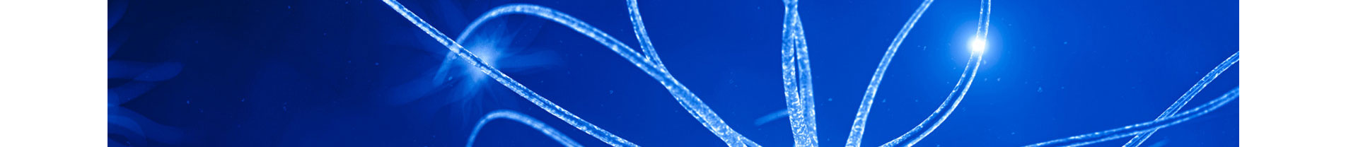 智能芯片_響應(yīng)式網(wǎng)站_深圳網(wǎng)站制作_公司網(wǎng)站建設(shè) 智能芯片_響應(yīng)式網(wǎng)站_深圳網(wǎng)站制作_公司網(wǎng)站建設(shè)